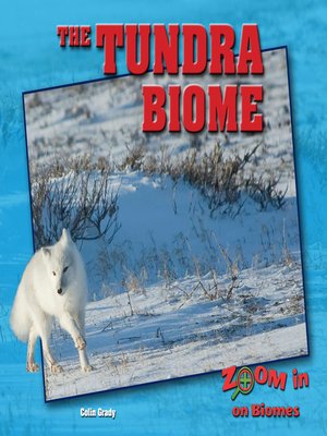 cover image of The Tundra Biome